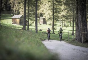 Holidays in Toblach: Cycling