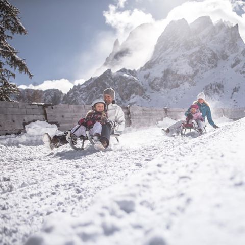 Winter vacation in Toblach: tobogganing