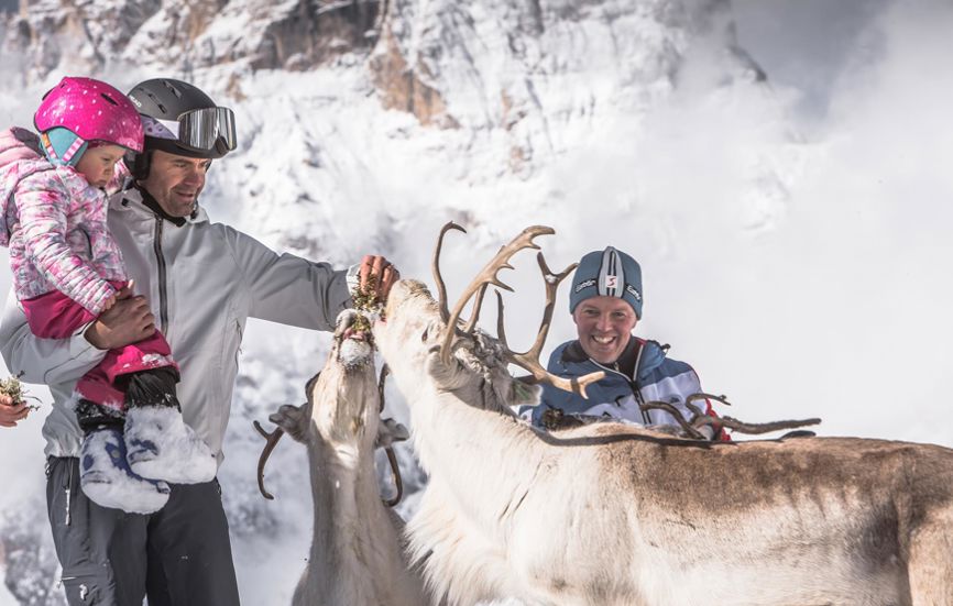 Urlaub in Toblach: Rentierfütterung