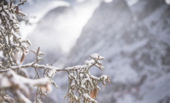 Winter vacation in Toblach: winter hiking