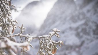 Winter vacation in Toblach: winter hiking