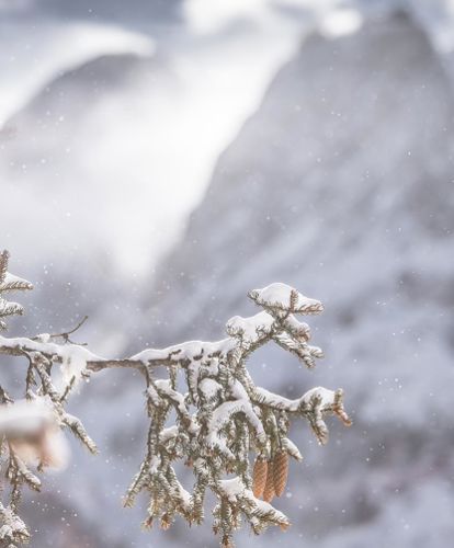 Winter vacation in Toblach: winter hiking