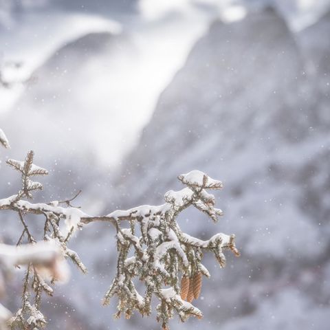 Winter vacation in Toblach: winter hiking