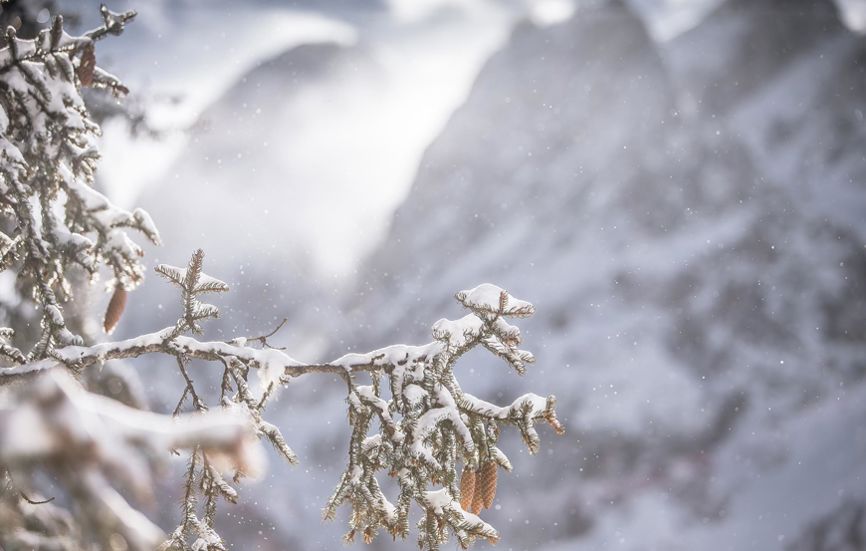 Winter vacation in Toblach: winter hiking