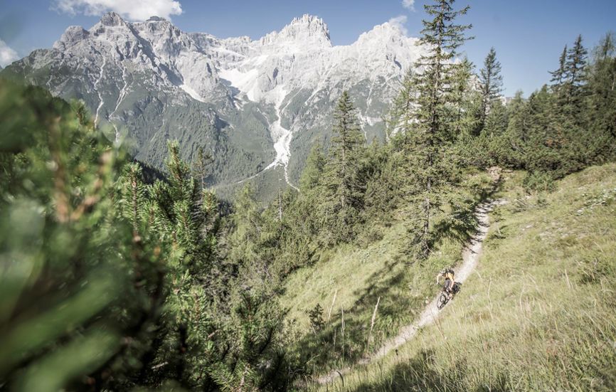 Mountainbike in summer