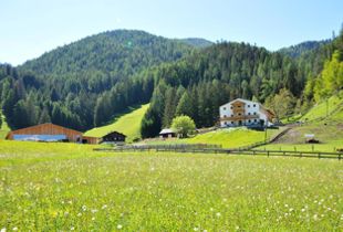 Steinwandterhof - Hotel im Hochpustertal