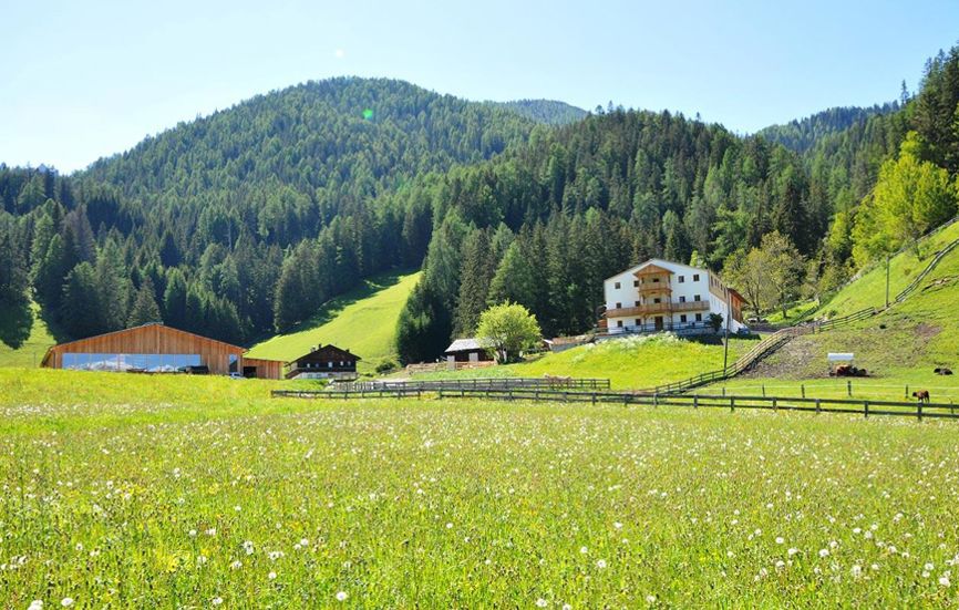 Steinwandterhof - Hotel im Hochpustertal